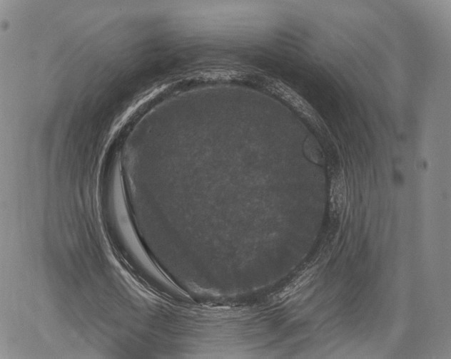 X0000067500722200604101230