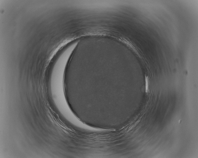 X0000067500723200604101230