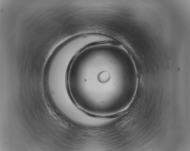 X0000067500724200604101230