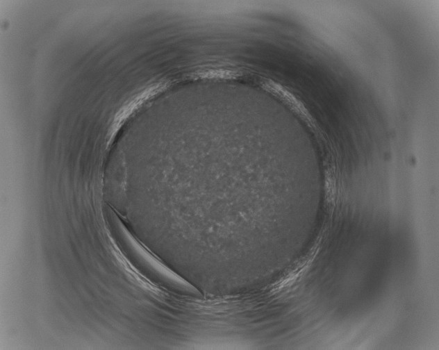 X0000067500725200604101230