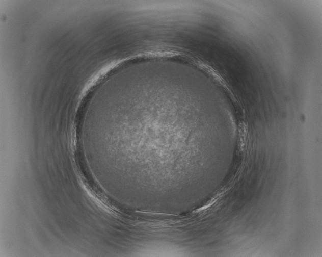 X0000067500726200604101230