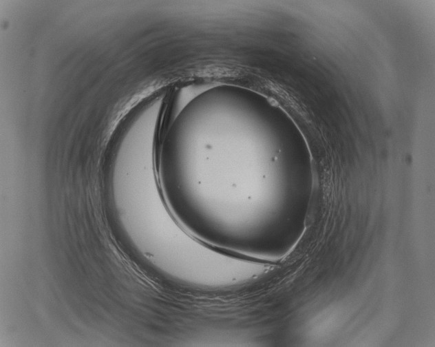 X0000067500727200604101230