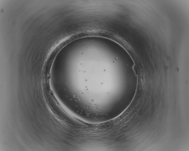 X0000067500728200604101230