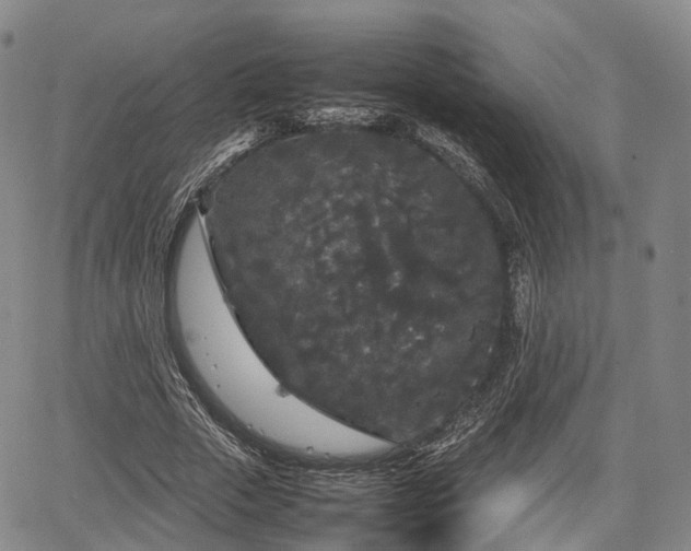 X0000067500729200604101230