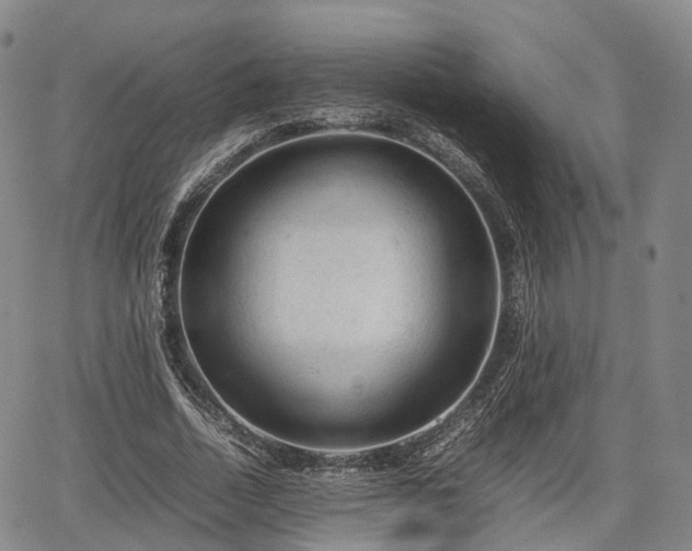 X0000067500730200604101230