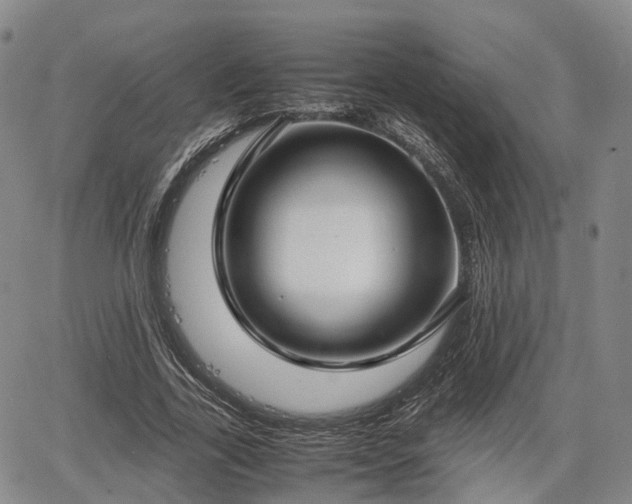 X0000067500731200604101230