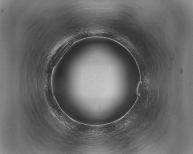 X0000067500732200604101230