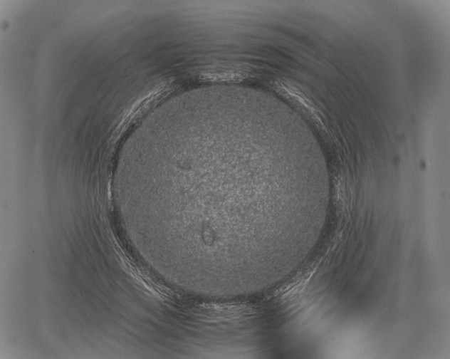 X0000067500733200604101230