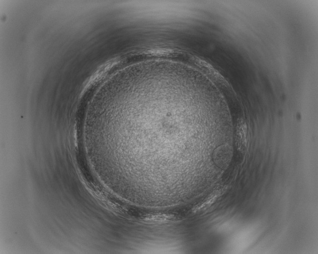 X0000067500734200604101230