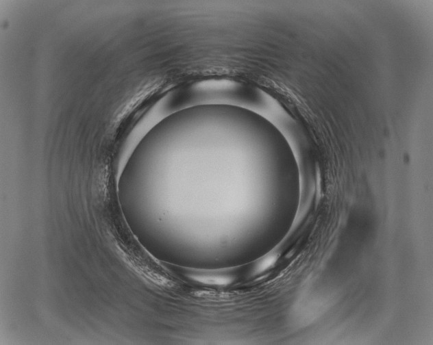 X0000067500735200604101230