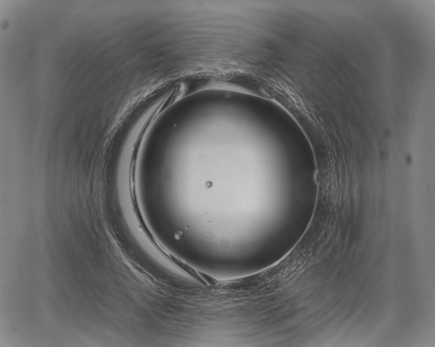 X0000067500736200604101230