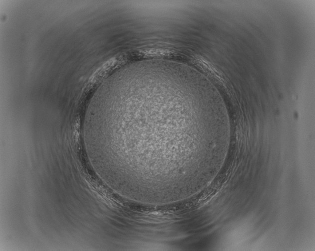 X0000067500737200604101230