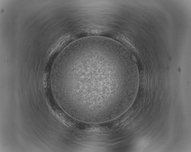 X0000067500738200604101230