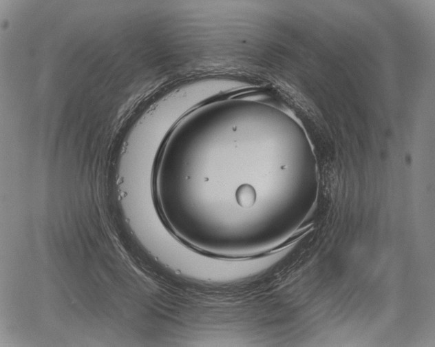 X0000067500740200604101230