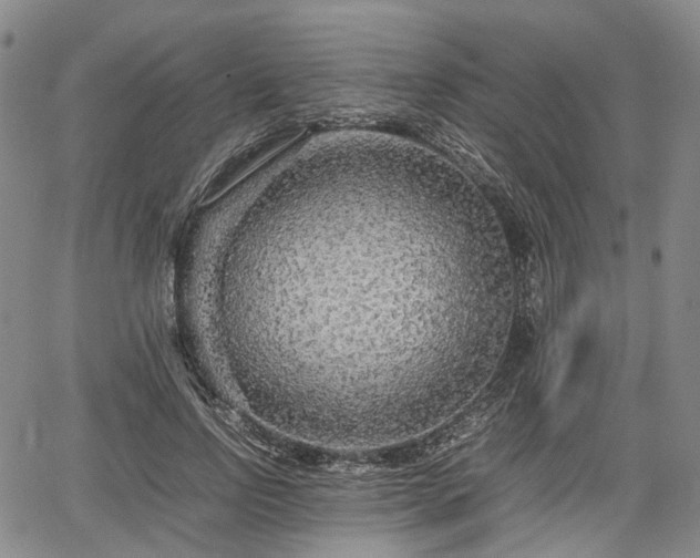 X0000067500742200604101230