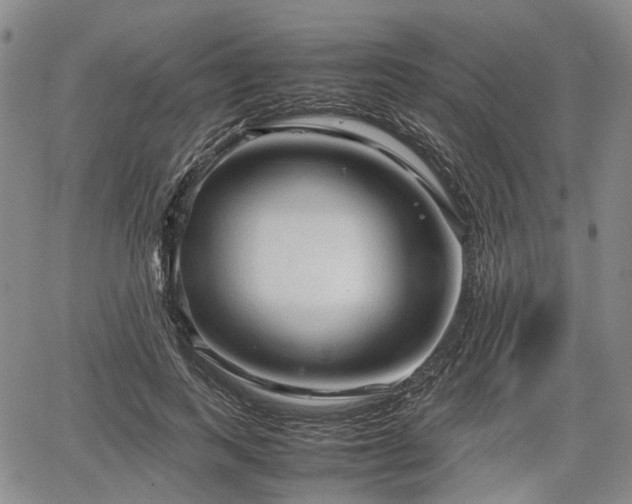 X0000067500743200604101230