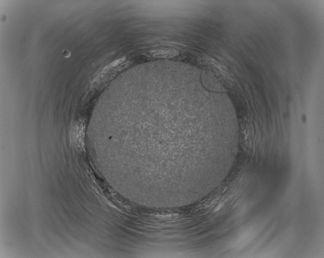 X0000067500745200604101230