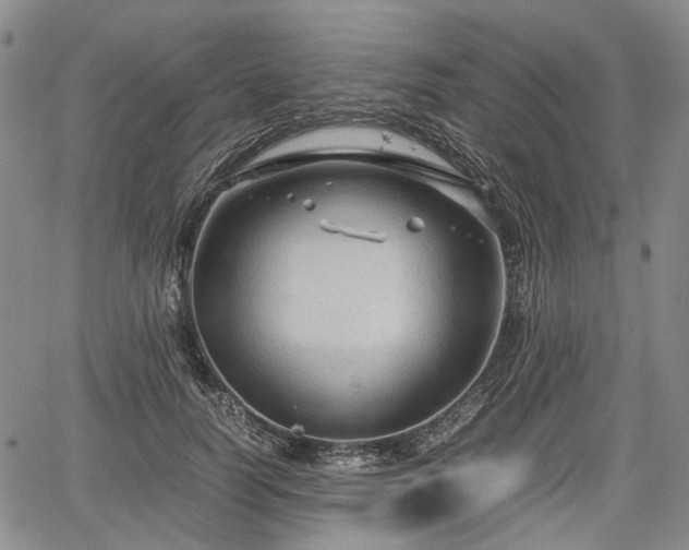 X0000067500746200604101230