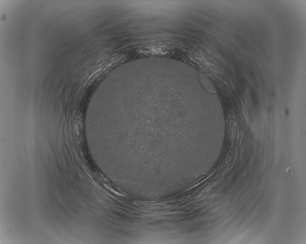 X0000067500747200604101230