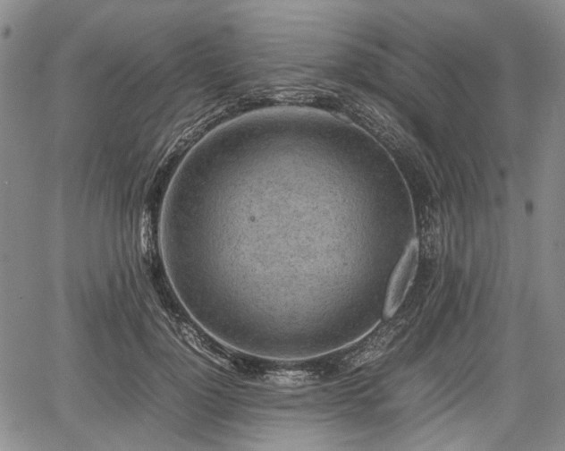 X0000067500748200604101230