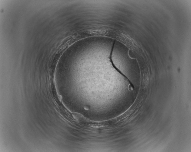 X0000067500749200604101230