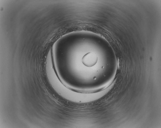 X0000067500750200604101230