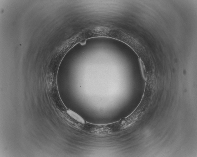 X0000067500752200604101230