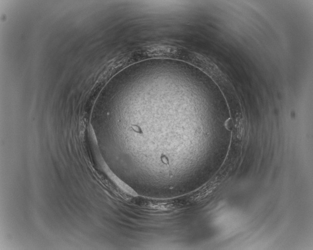 X0000067500753200604101230