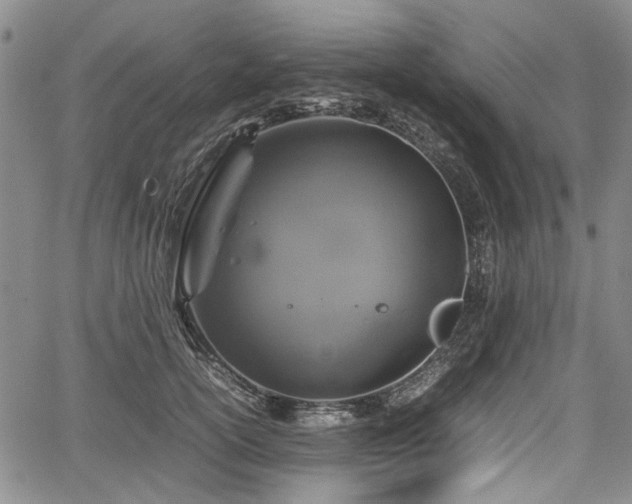 X0000067500754200604101230