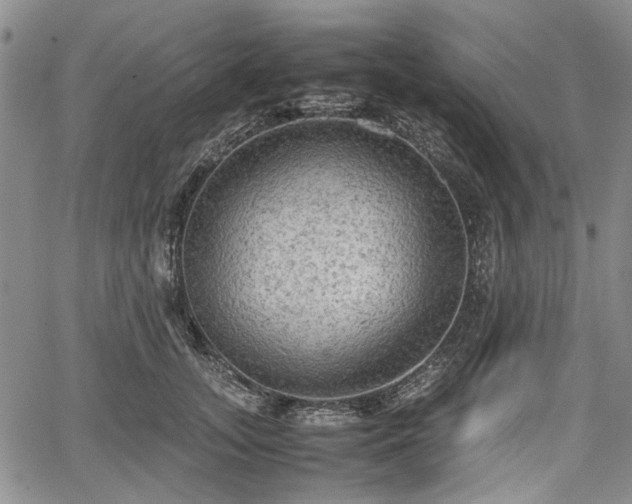 X0000067500755200604101230