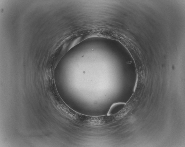 X0000067500756200604101230