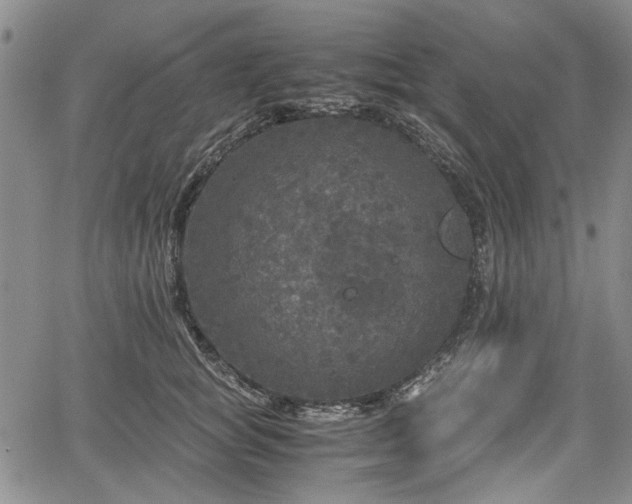 X0000067500757200604101230