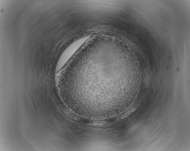 X0000067500758200604101230