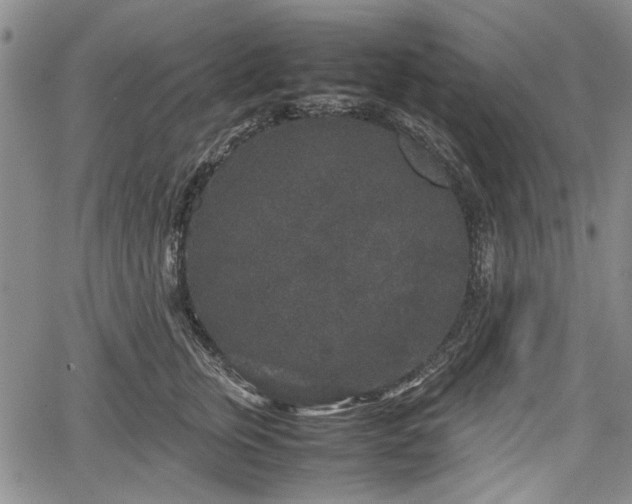 X0000067500759200604101230