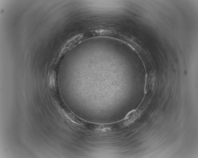 X0000067500760200604101230