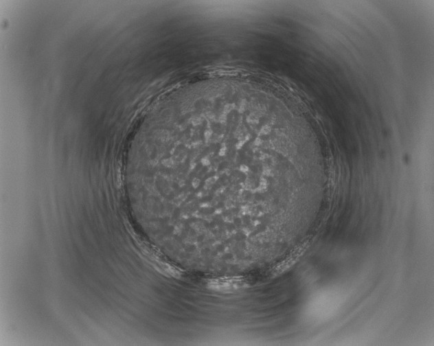 X0000067500761200604101230