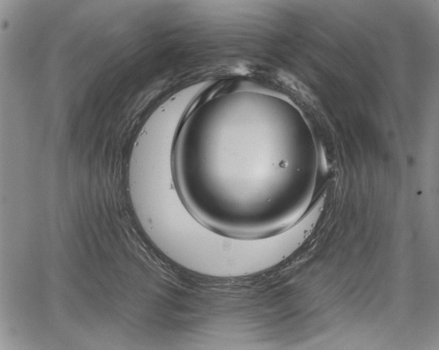 X0000067500762200604101230