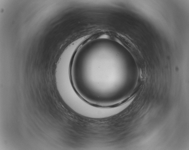 X0000067500763200604101230