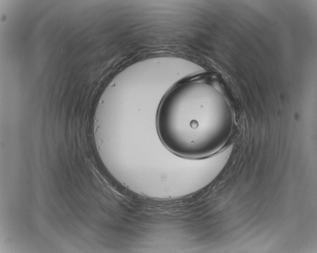 X0000067500764200604101230