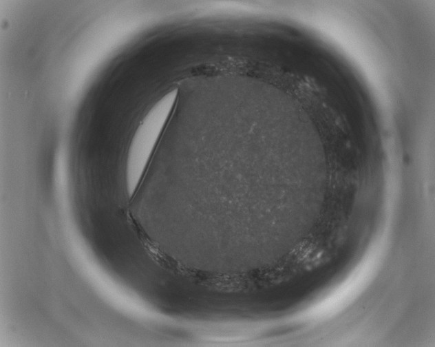 X0000067500765200604101230