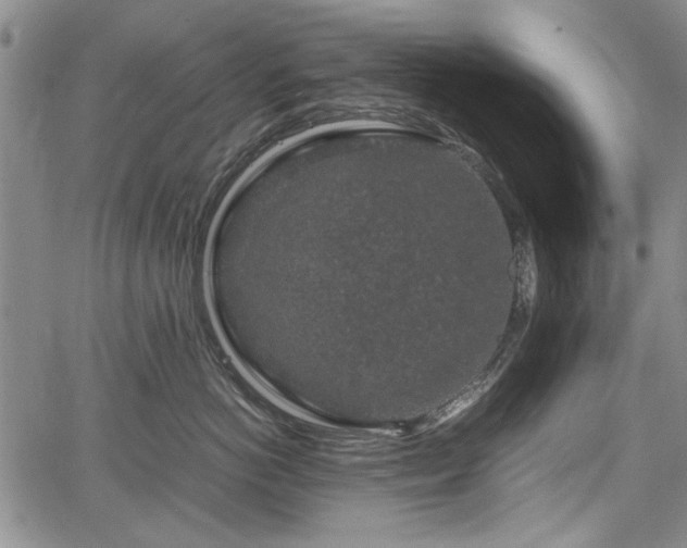 X0000067500766200604101230