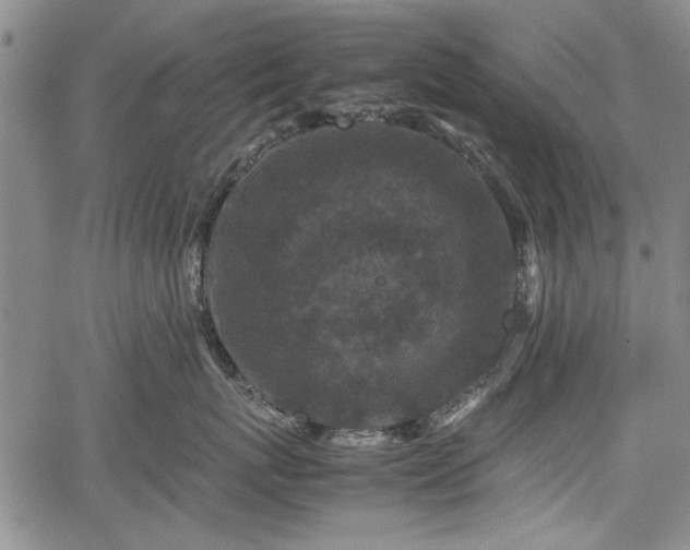 X0000067500767200604101230