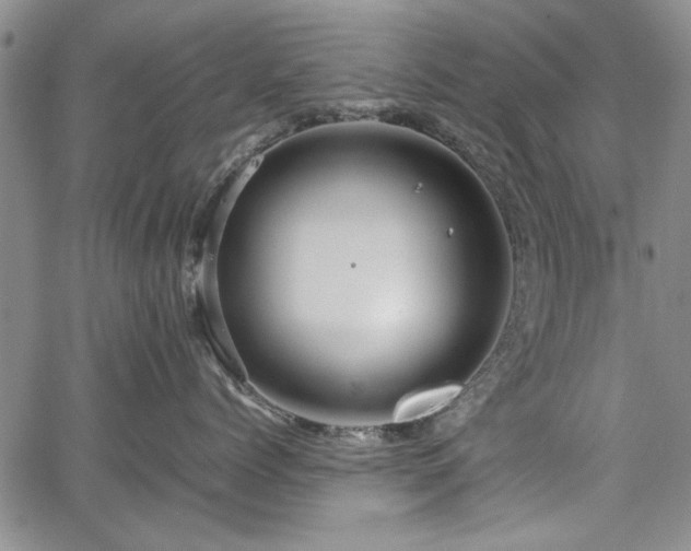 X0000067500768200604101230