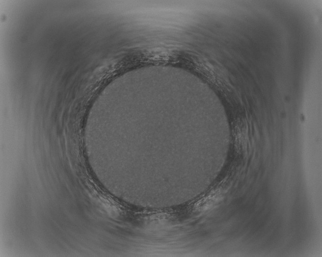 X0000067500769200604101230