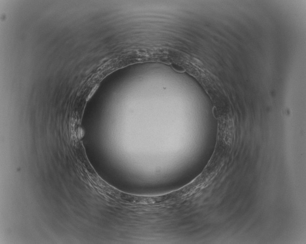 X0000067500770200604101230