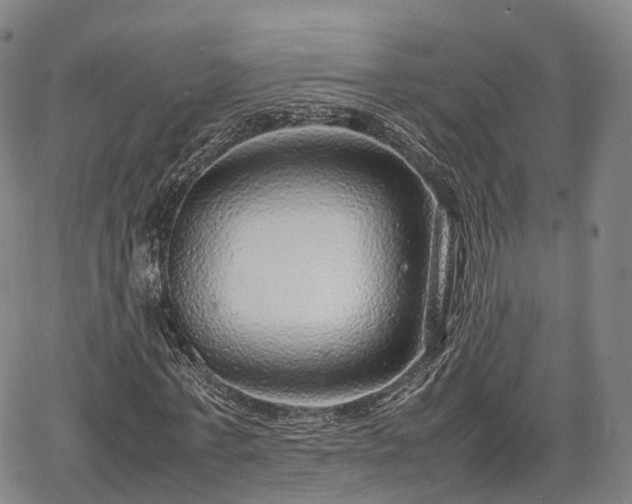 X0000067500771200604101230