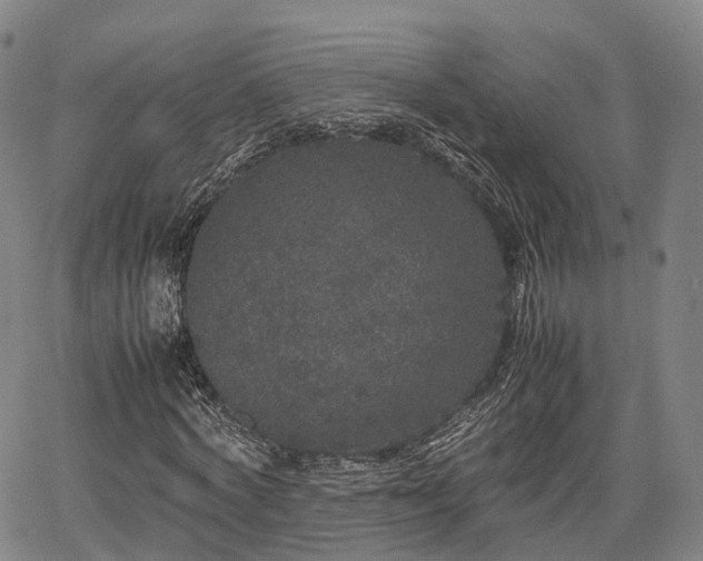 X0000067500772200604101230