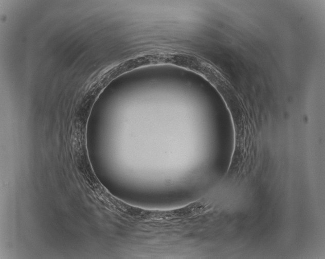 X0000067500773200604101229