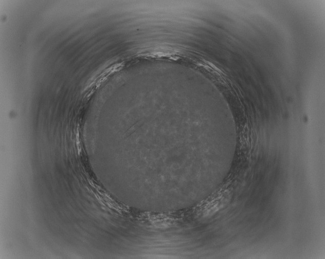 X0000067500774200604101229