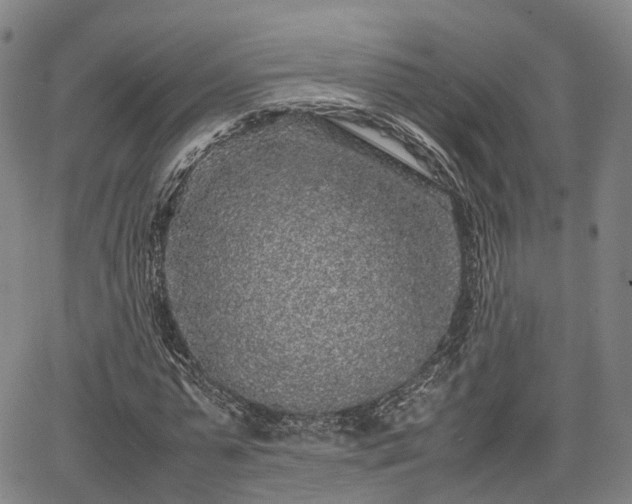 X0000067500775200604101229